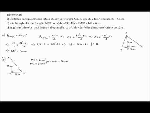 Calcul de arii - problema rezolvata (6i33)