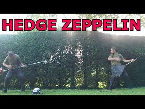 We Will Rock YEW: Yearly Yew hedge trimming: #hedging # stihl #yew