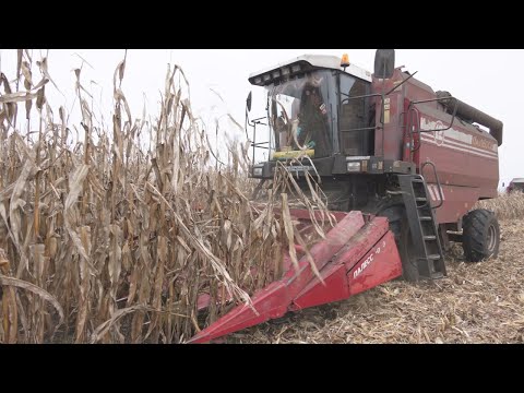 15 ноября работники АПК отметят профессиональный праздник видео