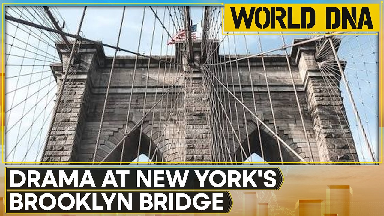 New York: Naked Man Jumps Off Brooklyn Bridge; Police Rescue & Arrest Jumper | WION