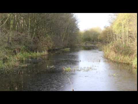 Barnsley Canal