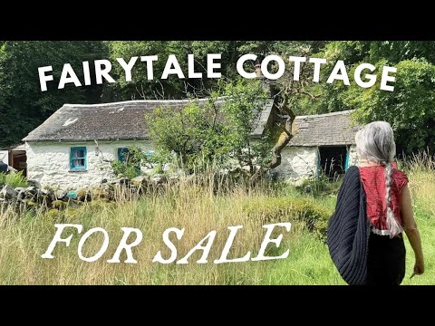 Finding a Fairy Tale Cottage in the Woods - The End of a Dream