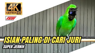 Download lagu MASTER CUCAK HIJAU ISIAN MEWAH‼️ mp3