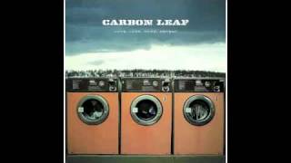 International Airport - Carbon Leaf