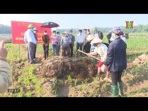 Nghiệm thu mô hình xử lý rơm rạ thành phân hữu cơ   Hội LHPN huyện Sóc Sơn 2021