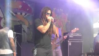 "I'll Get To Heaven On My Own" -  JUKE  with guests Albert Castiglia, Isaac Corbitt, and Ryan Gregg.