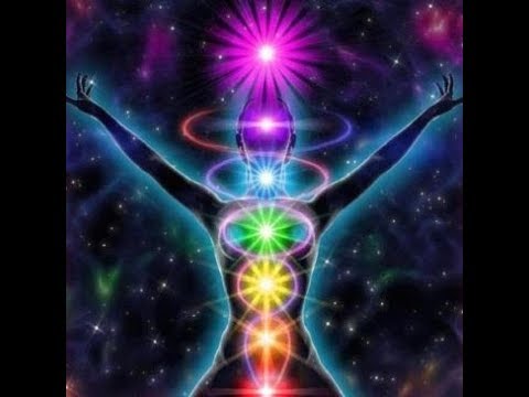 Die Kraft & Symbolik der Schlange