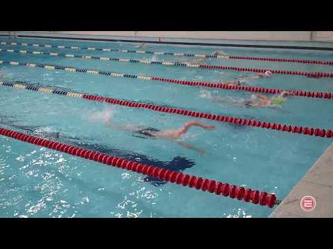 Весёлый дельфин. В Ревде идет Первенство по плаванию Свердловской области