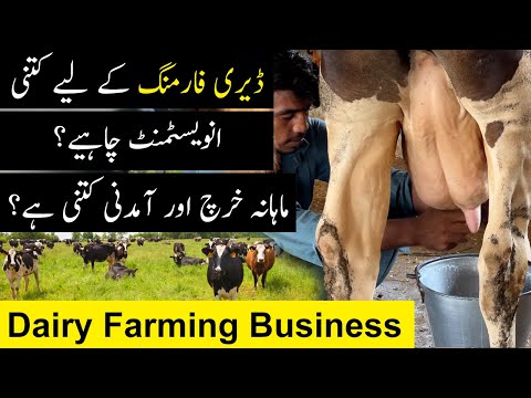 Dairy Farming Business in Pakistan | Double Profit in 2 Years | 35 Lakh Investment 70 Lakh Profit