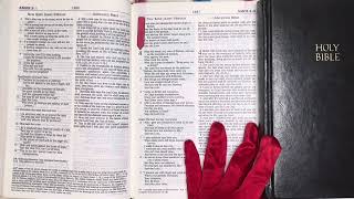 Your DAILY BREAD: THE BIBLE: 10/24/25, Psalm 131, Amos 4:1-6:14, Luke 19:1-48, Psalm 48.