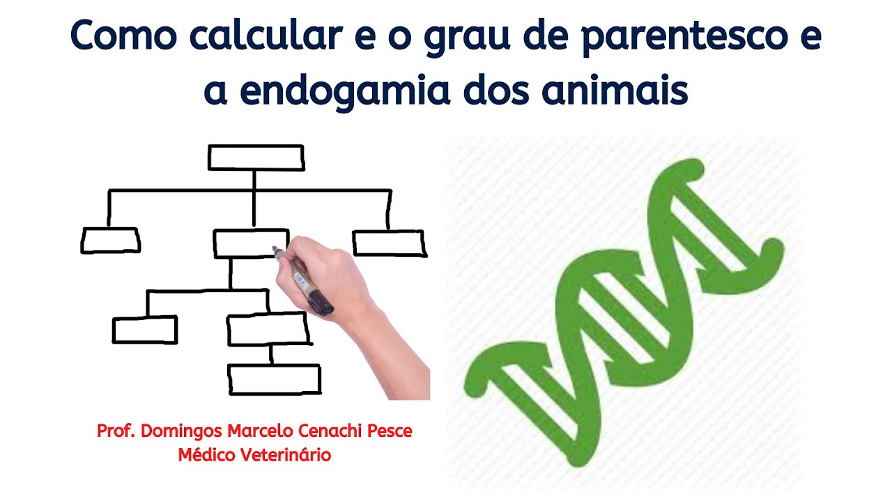 Como calcular o grau de parentesco e a endogamia dos animais