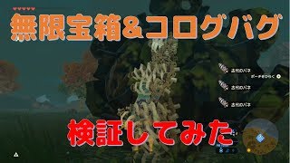 【ゼルダの伝説】話題のバグ技 コログも無限 検証してみた【BotW】