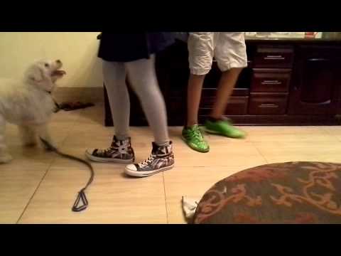 That's how Snowy acts whn kids r leaving 4 school