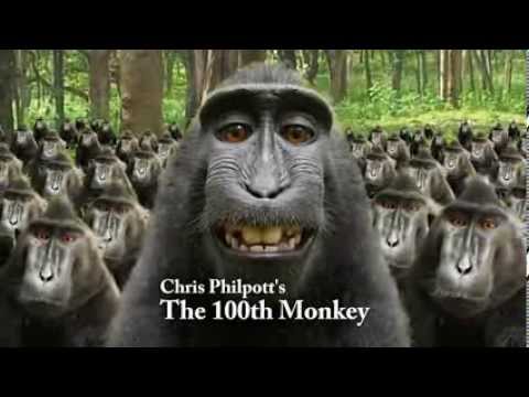 100th Monkey by Chris Philpott- Magic Universe
