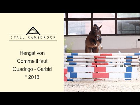 Nr 38 Comme il faut x Quadrigo