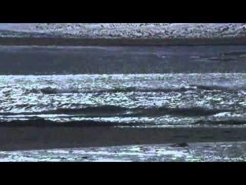 Meeresangeln vor Island - der Trailer zur DVD!