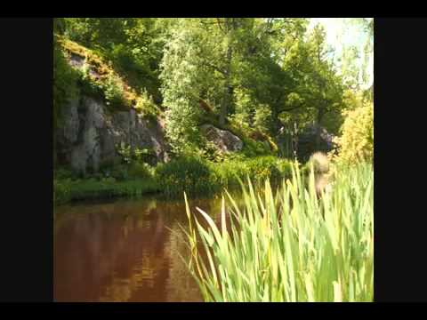 hey phool chudera lane ho by kumar subba