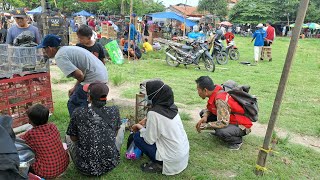 Download lagu Burung yang lagi viral 2026 harga bahan 30k gacoran pastinya mahal mp3