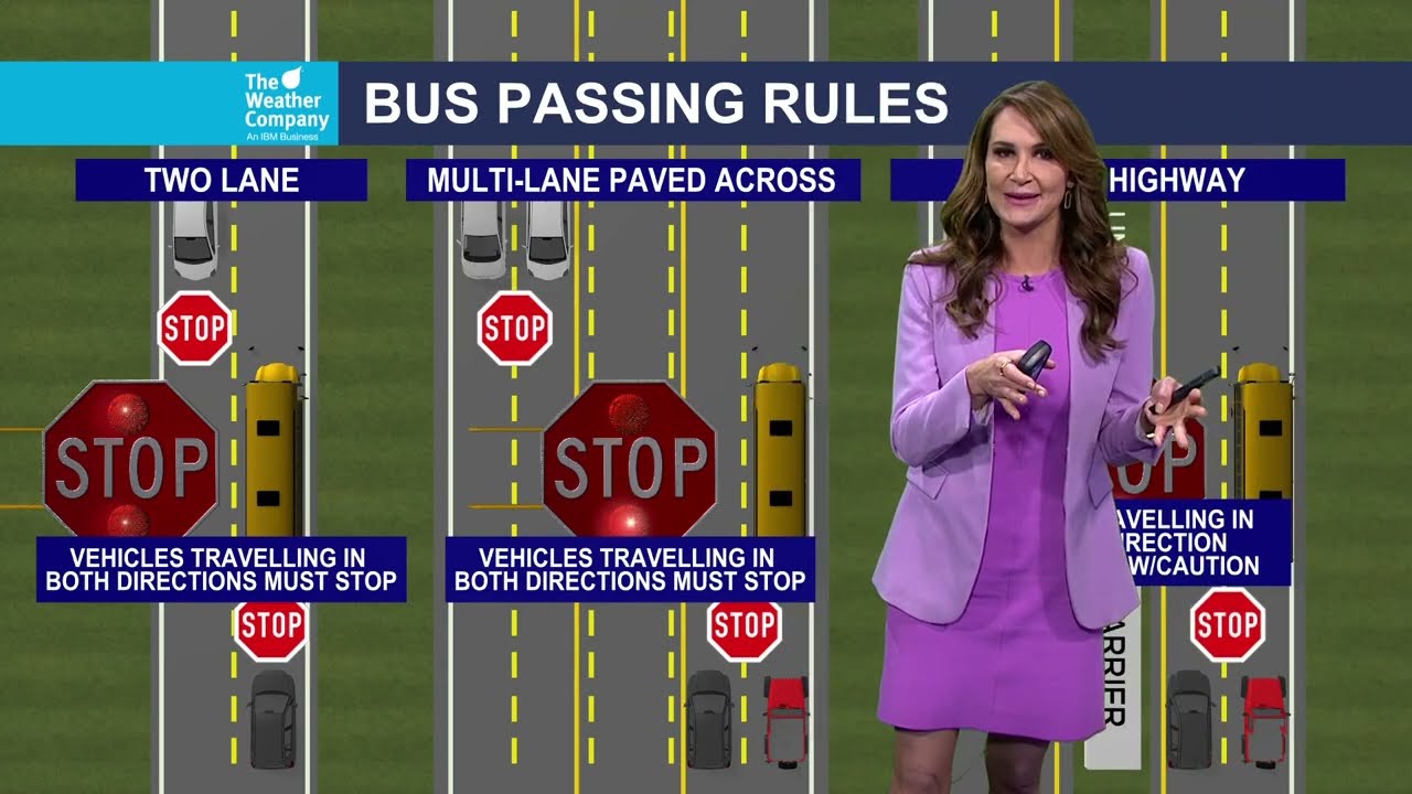 Driving rules when around a school bus