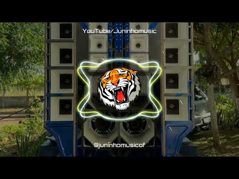 AI CACHORRO AI CACHORRO - FORROZINHO - EDIN DO PISEIRO E WG NO BEAT