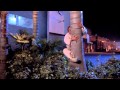 Beverly Hills Ninja Palm Tree Scene