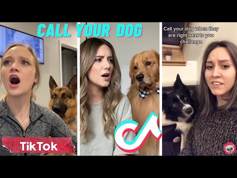 Call Your Dog's Name When They're Right Next To You 🐶 TikTok Compilation