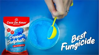 Síran meďnatý Modrá Skalica