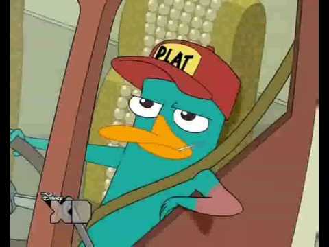 47b - Piosenka o dziobaku, co jeździł bananem