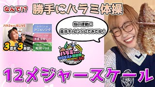 ハラミ体操全12スケール　～元楽器屋店員のDTM～
