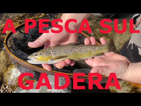 A pesca sul Gadera 🦟