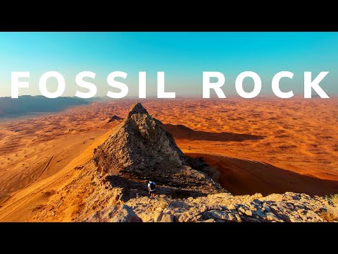 Fossil Rock | Maleha, Sharjah ||preview
