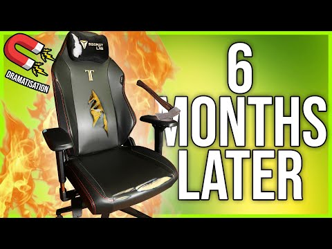 Secretlab Titan Evo 2022 - 6 Months Later!