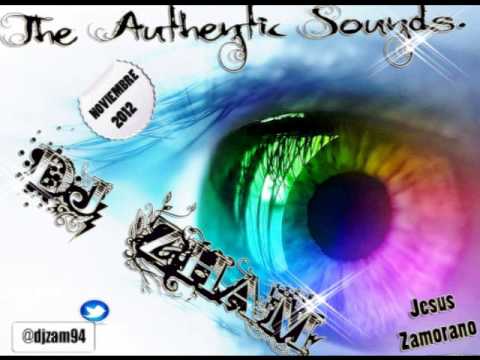 3. The Authentic Sounds, Noviembre 2012. by DJ ZHAM