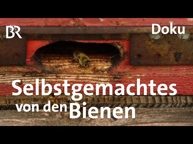 Video Pronunciation of propolis in German