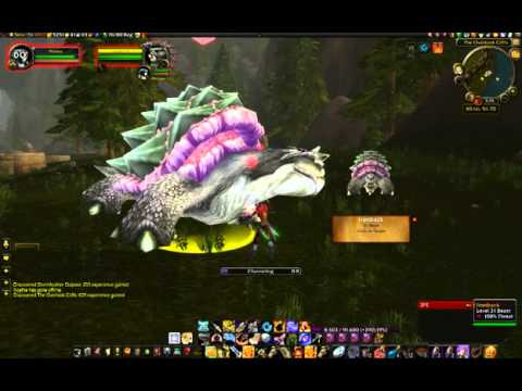 Ironback Tame - Rare Spawn Turtle in the Hinderlands