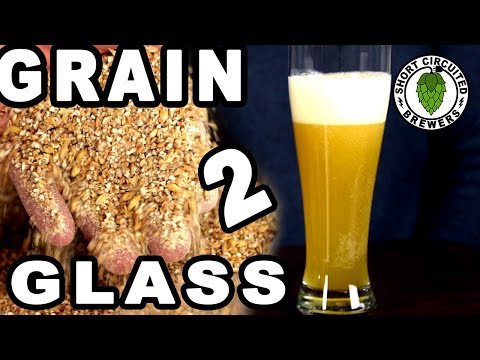 download lagu mp3 mp4 Brewing Grain Profiles, download lagu Brewing Grain Profiles gratis, unduh video klip Brewing Grain Profiles