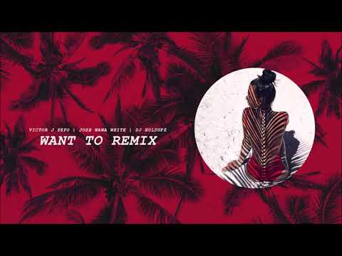 DJ Holdup X Victor J Sefo X Josh Wawa - Want To Remix