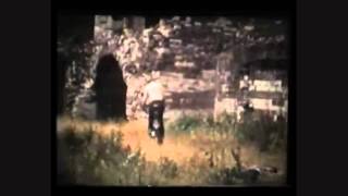 Bird of prey - Reverend & The Makers