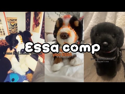 Essa TikTok comp!! #viralvideo#essacomp#essa#boost 