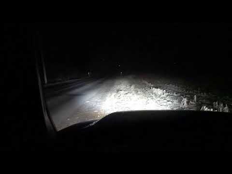 Rigid Industries SAE driving lights and Radiance light bar