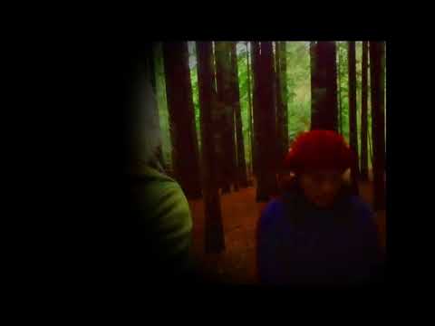 A Forest - Maarten van der Vleuten Featuring Linda Kastanja