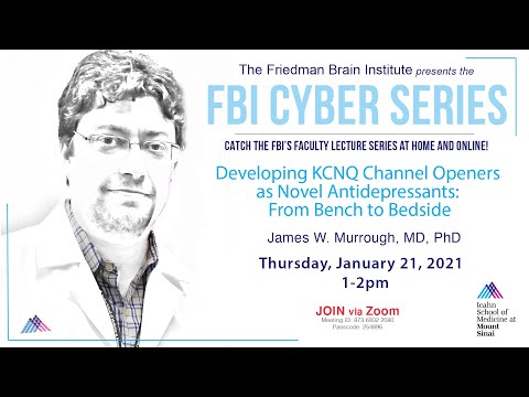 FBI Cyber Series - by James W. Murrough, MD, PhD