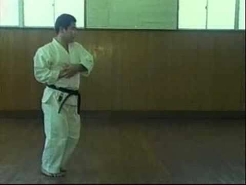 Seifa kata, gujo ryu