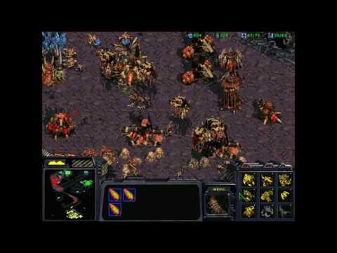 Starcraft 1: Ascension of Duran (Dark Purposes) 13A - Space Merchants