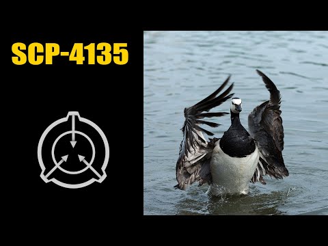 SCP-4135 — Kaczka [LEKTOR PL]