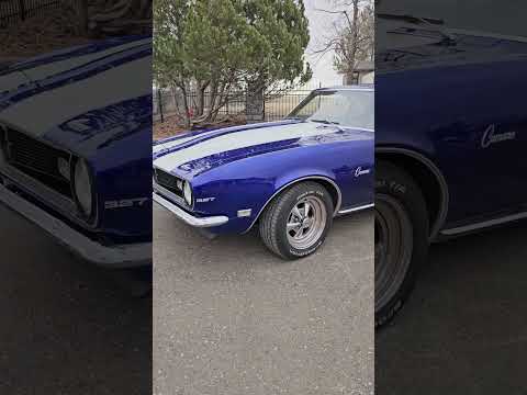 1968 Chevrolet Camaro (CC-2053039) for sale in Havre, Montana