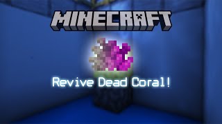 Reviving Dead Coral in Minecraft!