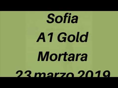 2 prova Fgi gold A1 Sofia Frenna