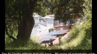 preview picture of video 'El Cerrito Hillside Natural Area'