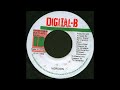 BOOGIE DOWN RIDDIM MIX DIGITAL B